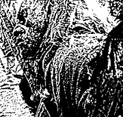 Mordor Aggressor.png