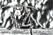 Hornst.png