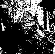 TCG Uruk Warrior