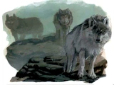 Wolves
