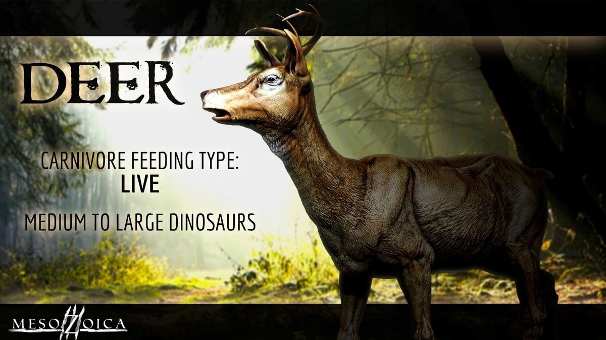 263-reindeer-deer-names-good-cute-cool-ideas
