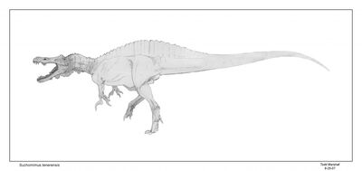 Suchomimus-Todd-Marshall-1024x485