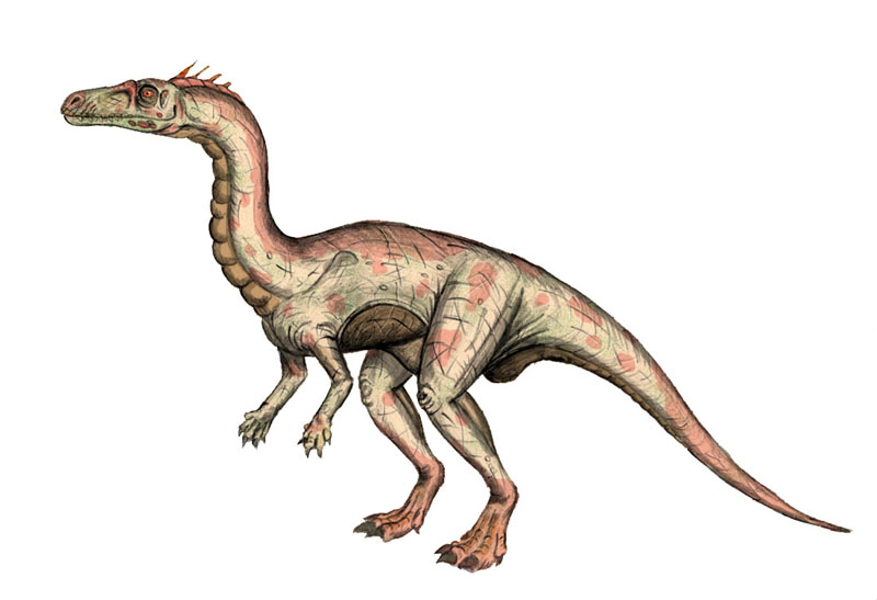 Guaibasaurus Mesozoic Era Wiki Fandom