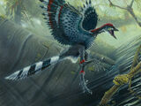 Archaeopteryx