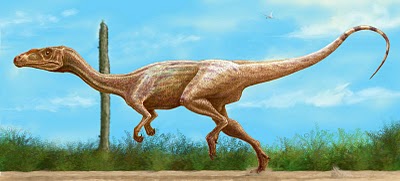 Guaibasaurus Mesozoic Era Wiki Fandom
