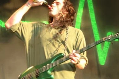 vibrator steuern Reggae:Hans Söllner | Punk-Wiki