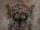 Cryptopsy (album)