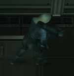 Raiden's Nikita