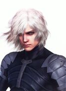 HD Collection artwork of Raiden.