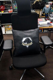 Diamond Dogs cushion.