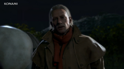 Ocelot