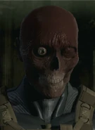 "Big Boss" FaceCamo, based on the biomort decoy.