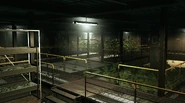Basement of DD's support platform where plants were grown and a secured entrance to the inside of the facility was located.