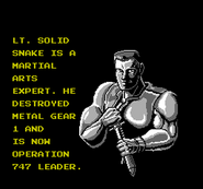 Snake's in-game bio and portrait, before starting the game.