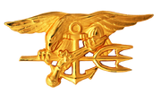 US Navy SEALs insignia-1-
