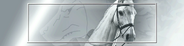 D-Horse [Silver]