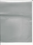 Scan0001.jpg (279 KB) Internal front flap