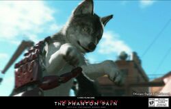 Metal Gear Solid V's DD is history's greatest dog for history's