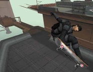 Snake skateboards at the Big Shell, in Evolution Skateboarding.