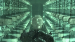 MGR RaidenBP