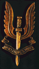 Sas-logo