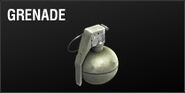 Weapon pic m67grenade