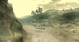 South America High Woodlands Highway