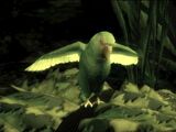 The End's parrot