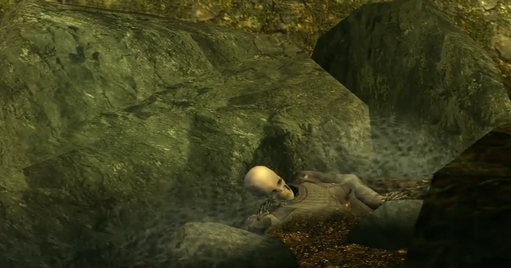 The Sorrow | Metal Gear Wiki | Fandom