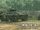 BTR-60 PA modificado