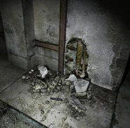 Solid Snake's cameo in Silent Hill 3, according to the game's BradyGames guide.