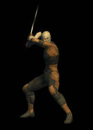 Gray Fox in The Twin Snakes.