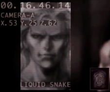 Liquid Snake profile