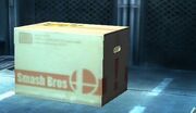 SSBBCardboardbox.jpg