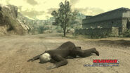 Raiden crawling/humping