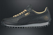 Puma fr1 pic2