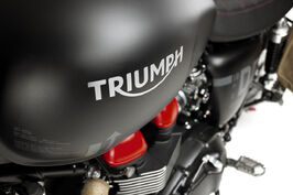 Venom Triumph Bonneville logo print.