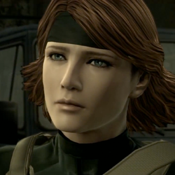 Snake Tales, Metal Gear Wiki