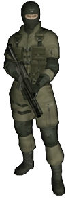 MGS2 SEAL