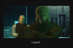 LiquidMGS