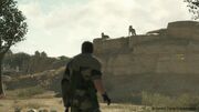 Mgstpp gc 14 web