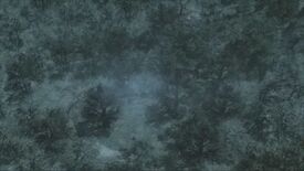 A South American jungle at dawn, in 2014.