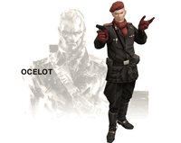 Ocelot young