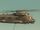 Diamond Dogs heavy-lift helicopter