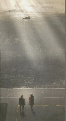 Peace Walker walks itself into the ocean