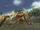 Tigrex
