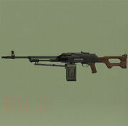 Pkm