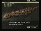 Tsuchinoko