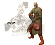 Volgin