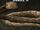Snake (food)